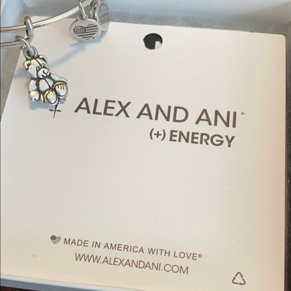 NWT Alex and Ani Energy Bracelet - Picture 3 of 6